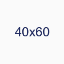 40х60