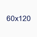 60х120