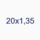 20х1,35