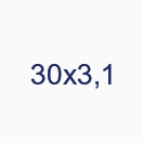 30х3,1