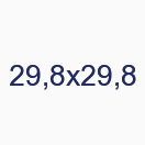 29,8х29,8