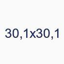30,1х30,1