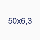 50х6,3