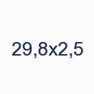 29,8х2,5
