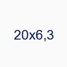 20х6,3