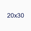 20х30