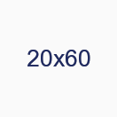 20х60