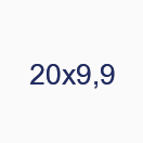 20х9,9