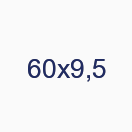 60х9,5