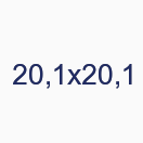 20,1х20,1