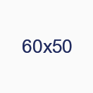 60х50