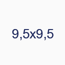 9,5х9,5