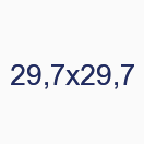 29,7х29,7