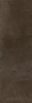 Kerama marazzi 9042 Плитка Тракай коричневый тёмный глянцевый 8,5х28,5