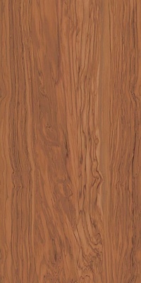 Kerama marazzi SG565300R Керамогранит Олива коричневый обрезной 60х119,5