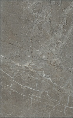 Kerama marazzi Плитка Кантата серый глянцевый 25x40x0,8