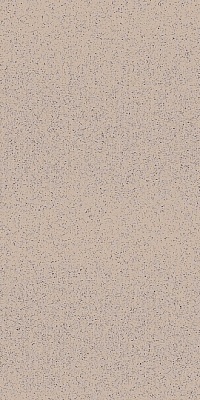 Kerama marazzi SP120010N Керамогранит Натива беж светлый 9,8х19,8