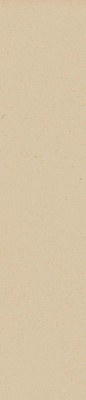 Kerama marazzi 26300 Плитка Амстердам бежевый матовый 6х28,5