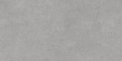 Kerama marazzi DL590000R Керамогранит Фондамента серый светлый обрезной 119,5х238,5