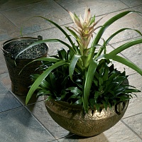 Kerama marazzi коллекция Сланец