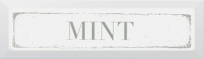 Kerama marazzi NT\A38\2882 Декор Mint зелёный 8,5х28,5