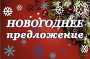 НОВОГОДНЕЕ ПРЕДЛОЖЕНИЕ