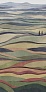 Kerama marazzi Декор Ковер Коллине матовый обрезной 119,5x238,5x0,9